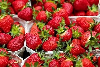 Viele rote Erdbeeren in typischen Pappbehältern