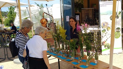 2 ältere Damen betrachten die ausgestellten Wildblumen und unterhalten sich mit Frau Streiling.