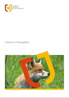 Deckblatt Broschüre "Füchse im Wohngebiet"