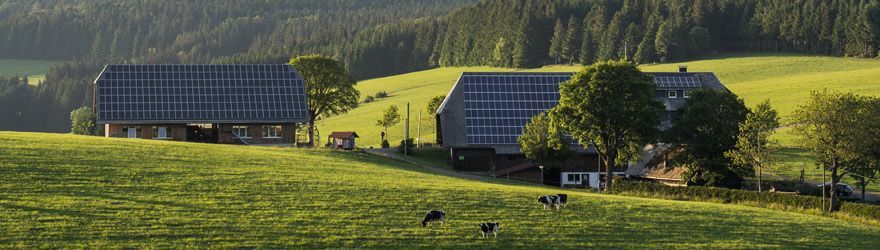 Bild: Daniel Schoenen, Freiburg Ein Schwarzwaldhof bei St. Märgen mit Photovoltaik auf dem Dach und 6 Windrädern im Hintergrund und eine Kuhweide im Vordergrund.