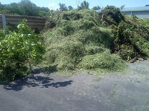 Grünschnitt liegt auf einer Sammelstelle