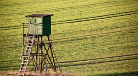 Ein Hochsitz aus Holz steht auf einer Wiese