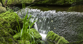 Zur Seite Natur- und Umweltschutz