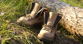 Zur Seite Tourismus im Landkreis